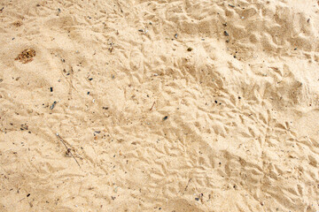 Beach sand by the ocean in a tropical country.