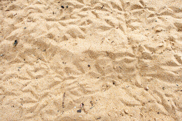 Beach sand by the ocean in a tropical country.