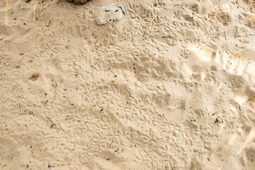 Beach sand by the ocean in a tropical country.