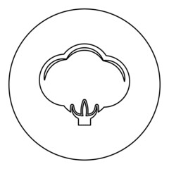 Cotton icon in circle round black color vector illustration image outline contour line thin style
