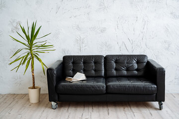 Black leather sofa in a bright room. Nearby is a large pot with ficus, on the couch is a book. Interior shot in light shades and minimalist style.