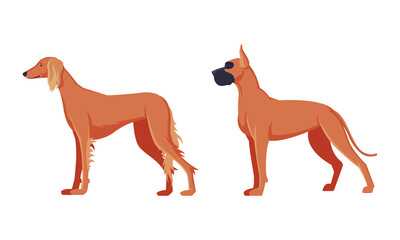 Brown Purebred Dog as Domestic Pet Animal in Standing Pose Side View Vector Set