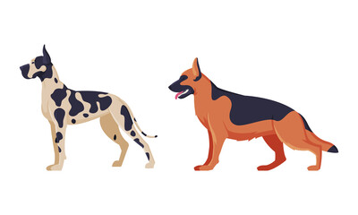 German Shepherd and Dalmatian Purebred Dog as Domestic Pet Animal in Standing Pose Side View Vector Set