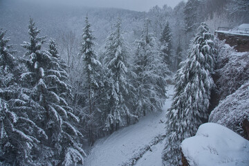 Winter auf dem Odilienberg im Elsass