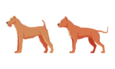 Brown Purebred Dog as Domestic Pet Animal in Standing Pose Side View Vector Set
