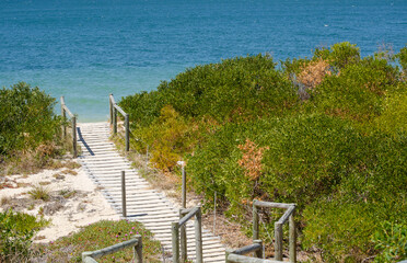 Fototapeta na wymiar Boardwalk to the blue ocean beach with greenery trees alongside at Brighton le sands, Sydney, Australia.