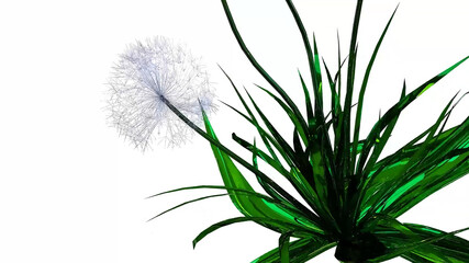 Dandelion Seeds Botanical 3D Rendering