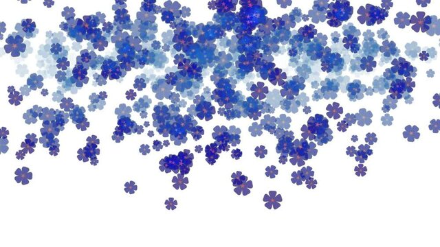 Vom Himmel fallende blau lila violette Bl&uuml;ten vor weissem Hintergrund 