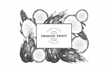 Hand drawn dragon fruit design template. Organic fresh food vector illustration. Retro pitaya fruit banner.