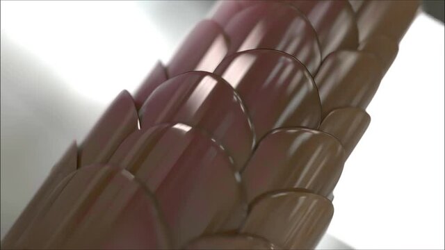 Shows the action of vitamins into the hair and conditioning the hair with vitamins for smooth hair in 3D.