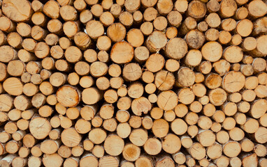 Stack of tree trunks. Texture background