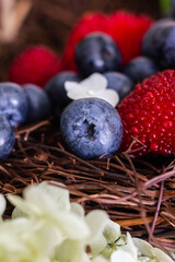 Ripe blueberries and Tibetan raspberries lie in a basket of vines
