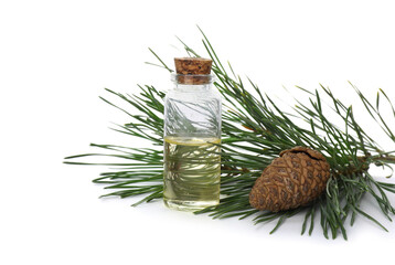 Glass bottle of essential oil and pine branch with cone on white background