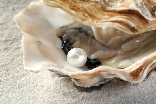 Open oyster with white pearl on sand, closeup