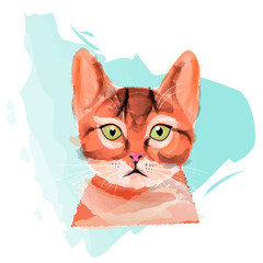 cat in watercolor style