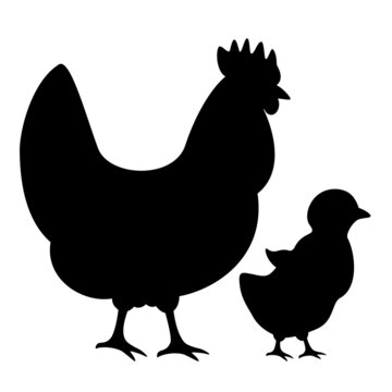 Hen and chicken vector icon