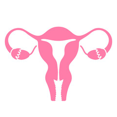 Uterus vector icon