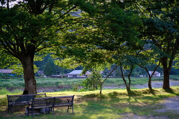 公園とベンチ