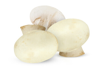 Champignon close-up, isolated on white background.