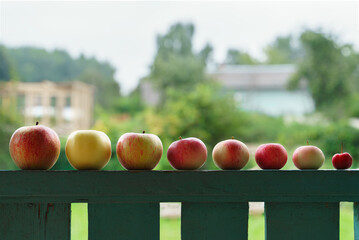 Apples of different sizes and colors set upon wooden railing for comparison
