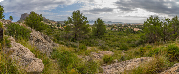 Fototapeta na wymiar Panorama of landscape of the Sierra de Tramuntana near Puerto de Pollensa (Port de Pollensa) with typical mediterranean vegetation, Mallorca island, Balearic islands, Spain