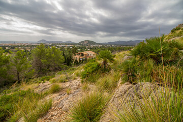 Landscape of the Sierra de Tramuntana near Puerto de Pollensa (Port de Pollensa) with typical mediterranean vegetation, Mallorca island, Balearic islands, Spain