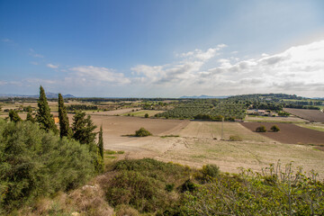 Landscape near Muro, Mallorca island, during October, with arid fields and mediterranean vegetation