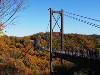 青空の紅葉の森に架かる吊り橋