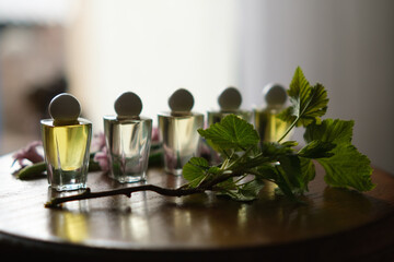 Female perfume bottle at the pine forest.