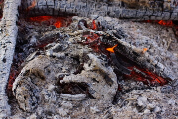 burning firewood in the garden