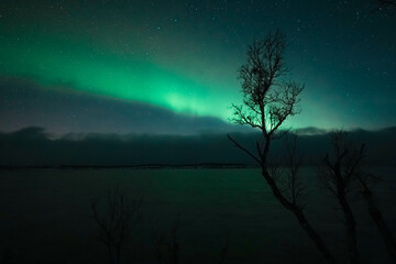 Obraz na płótnie Canvas northern lights aurora borealis winter in lapland 
