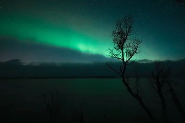 Poster northern lights aurora borealis winter in lapland  © Dimitri