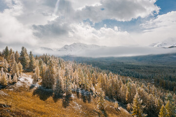 Drone view of the snow-covered forest and mountains