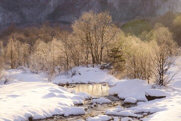 雪国の朝　冬の朝の風景