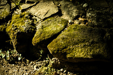 moss on stone