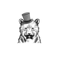 Crazy creative animal design with accessories 