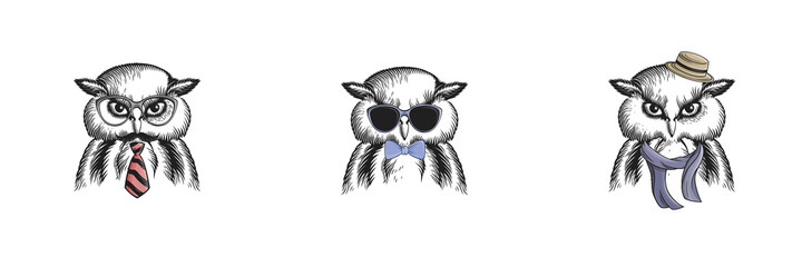 Crazy creative animal design with accessories 