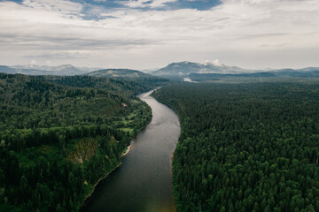 Drone view of the river flowing in the forest