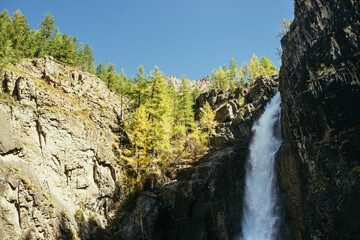 Scenic autumn landscape with vertical big waterfall and yellow trees at mountain top in sunshine. Powerful large waterfall in rocky gorge. High falling water and trees of golden colors in fall time.