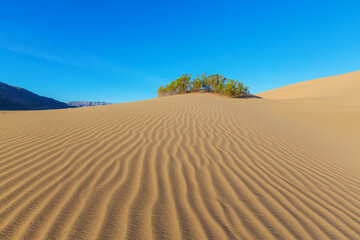 Sand dunes