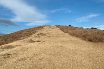 若草山　登山道
