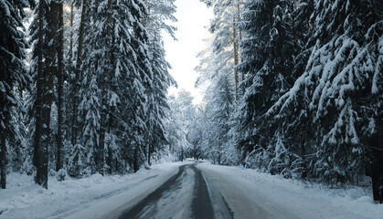 beautiful winter landscape with a road in a snowy forest