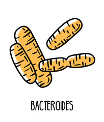 Bacteroides gram-negative anaerobic bacteria in the human intestinal microflora, vector illustration. Microbiota of the digestive tract.
