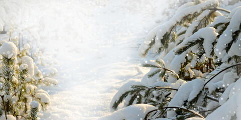 Snow covered forest background with copy space. Winter landscape.