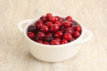 Ripe sweet tasty cranberry in the bowl