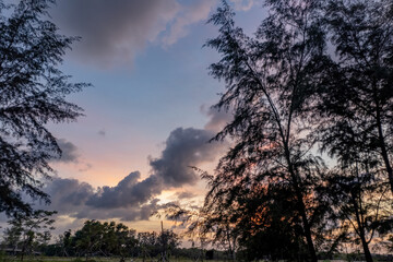 Obraz premium summer picture with beautiful colorful sunset , a wonderful place of strength and energy, peace, harmony and quiet