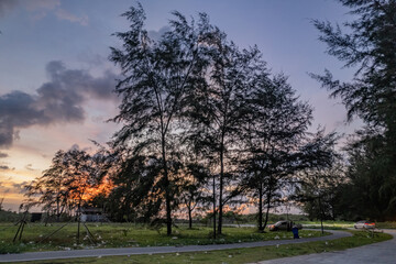 summer picture with beautiful colorful sunset , a wonderful place of strength and energy, peace, harmony and quiet.there is garbage