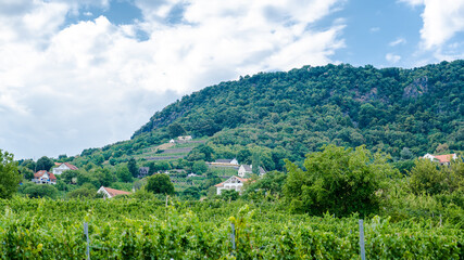 Landscape view on the Badacsony wine growing region