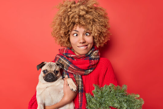 Funny curly haired young woman crosses eyes and makes grimace holds green spurce wreath and pedigree dog celebrates Christmas holidays dressed in warm winter clothes isolated over red background