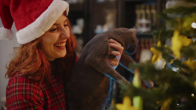 Ragazza con gatto e albero di Natale in casa
